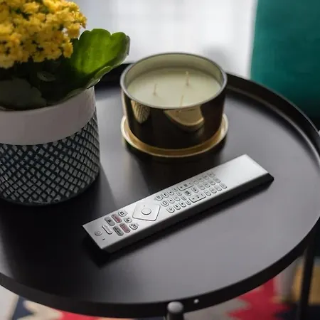 Апартаменты Specious Center With Park View *