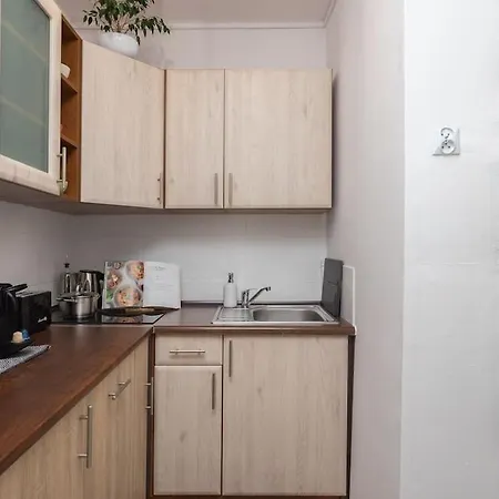 Specious Center With Park View *