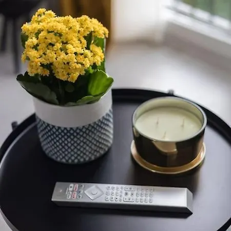 Appartement Specious Center With Park View